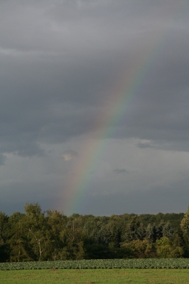 Regenbogen