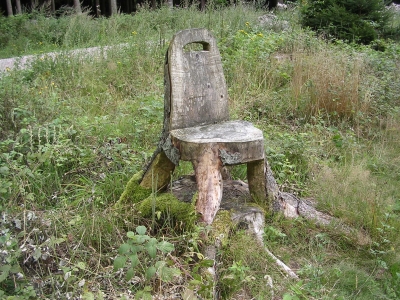 Ein Stuhl im Wald, wie kommt der dahin?