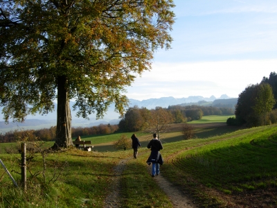 Herbst-Spaziergang