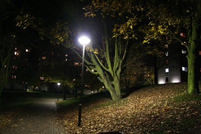 Grünanlage bei Nacht