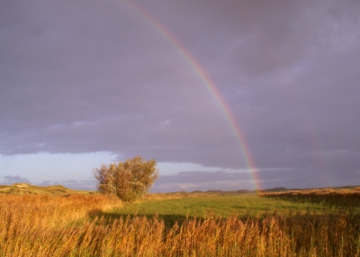 Regenbogen