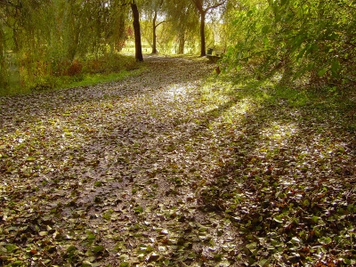 November im Park