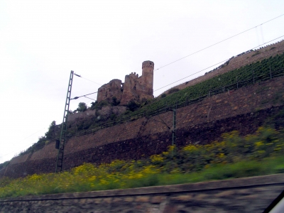 Schloss am Rhein 1