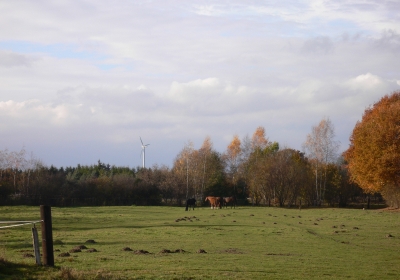 Weide, Windkraft, Wolken und Wühlmäuse