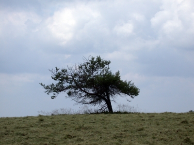 In der Rhön