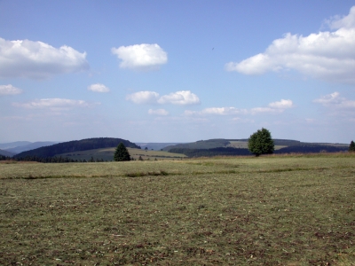 In der Rhön