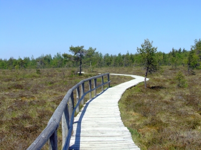 In der Rhön