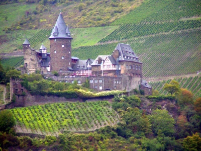 Schloss am Rhein 4