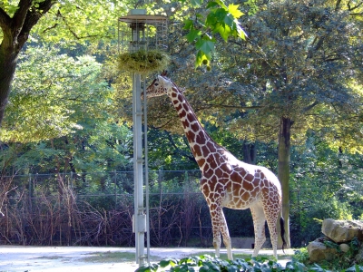 Frankfurter Zoo