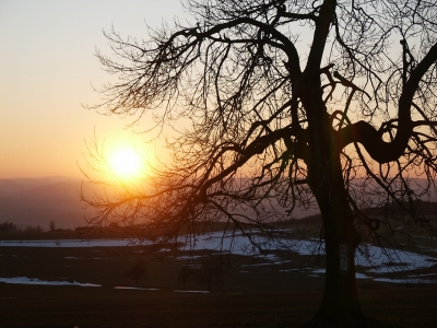 Winter in der Rhön