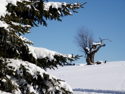 Winter in der Rhön