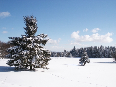 Winter in der Rhön