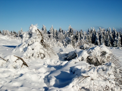 Winter in der Rhön