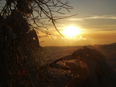 Winter in der Rhön