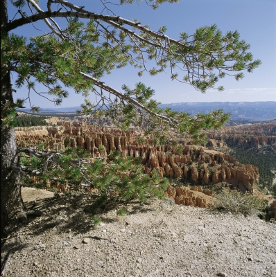 Bryce Canyon am Nachmittag