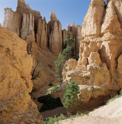 Bryce Canyon 03