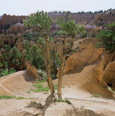 Bryce Canyon 04