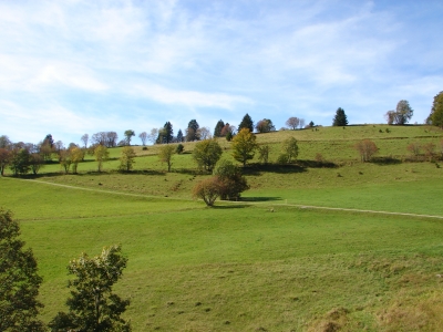 Herbstanfang im Schwarzwald