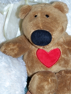 Teddy voller Herz