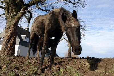 Wer bist Du denn ?