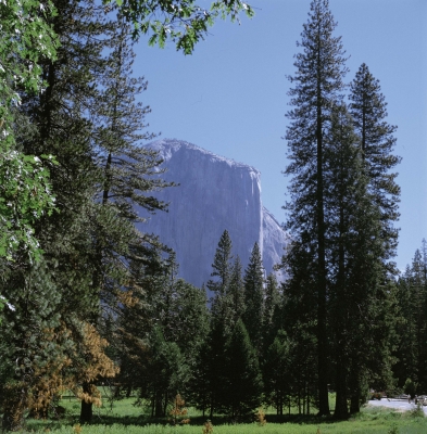 Yosemite Valley