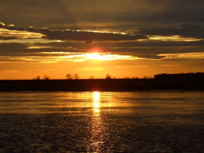 elbe in der abendsonne