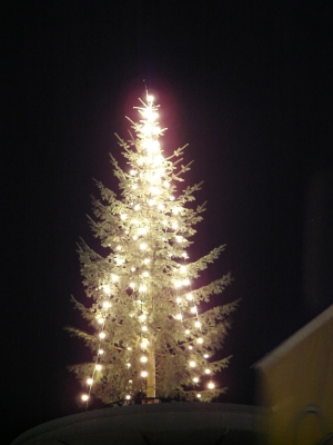 Weihnachtsbaum auf dem Kaufhausdach