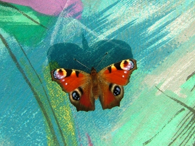 Relaxender Schmetterling