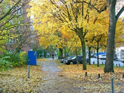 Herbst in der Stadt 3