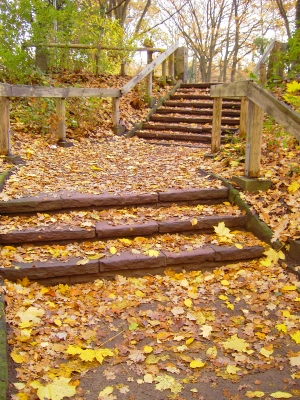Treppe zum Stadtpark