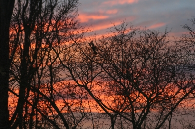 abendrot vom fenster aus