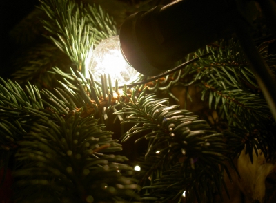 Das Licht zu Weihnacht