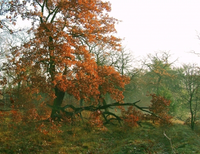 freundlicher Herbst