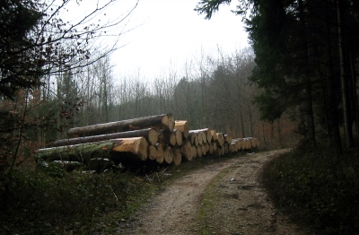 Holzstapel am Wegrand
