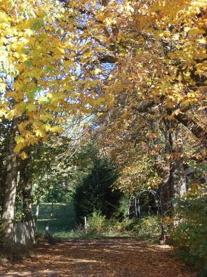 Herbstweg