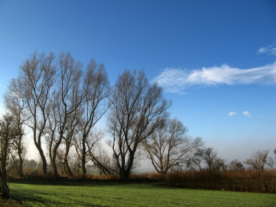 Dezemberwetter?