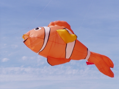 Nemo fliegt