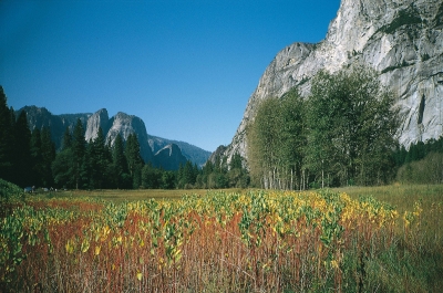 Yosemite Valley im Frühjahr01