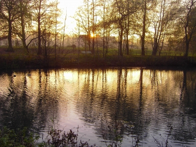 Abends am kleinen Teich 1