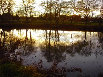 Abends am kleinen Teich 2