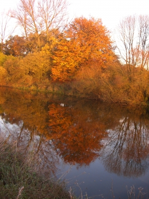 Ems im Herbstlicht