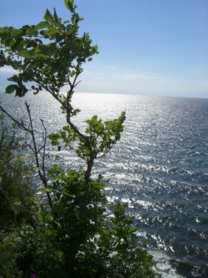 Blick über die Ostsee