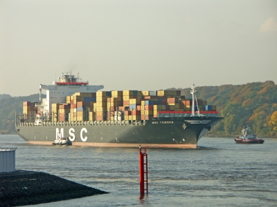 die - MSC Tomoko -