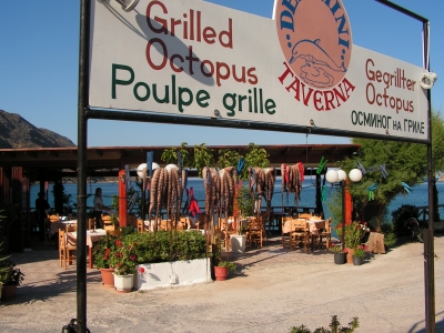 Gegrillter Oktopus