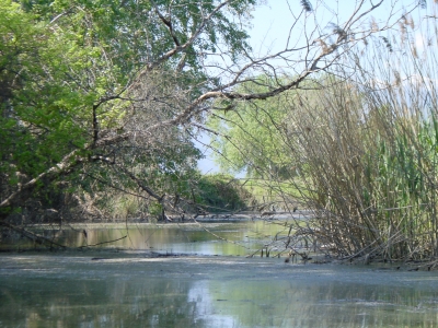 unberührte Flusslandschaft