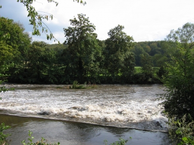 Stromschnellen der Wupper