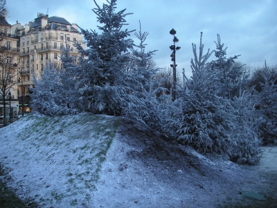 Champs Elysees - künstliche Weihnachtsinsel
