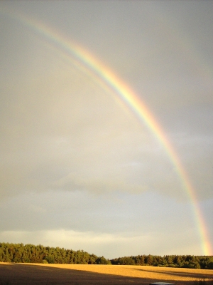 Regenbogen II