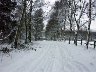 Winter-Weg