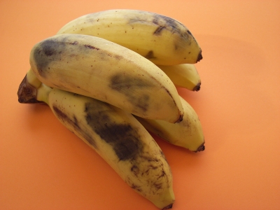Liliput-Bananen